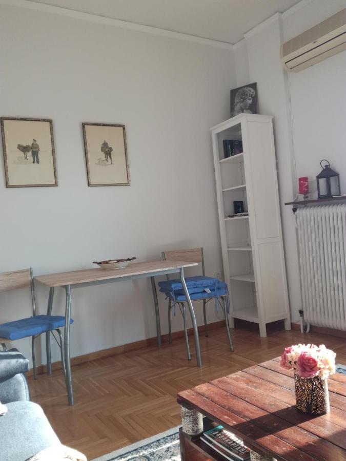 Apartament Mia'S Seaside Penthouse - Panoramic View Pireus Zewnętrze zdjęcie